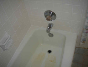 mold moldy bathtub after cleaning 1